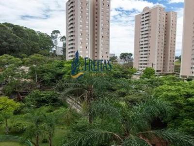 imagem-miniatura